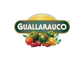 img logo guallarauco